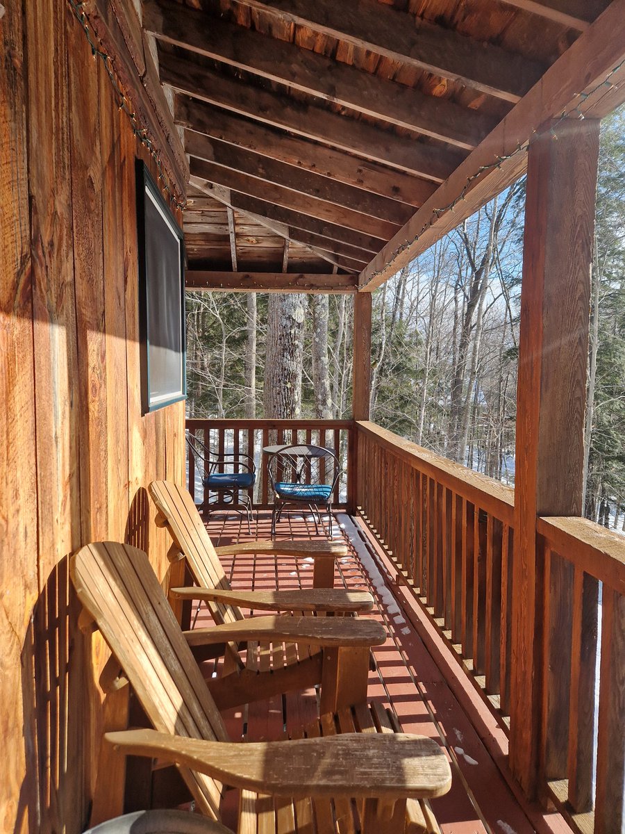 Beth Collinson, PhD. tweet media