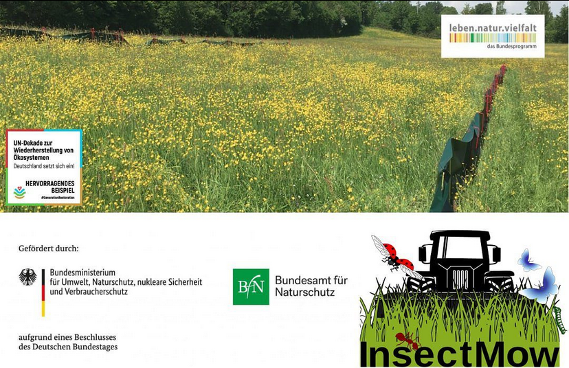 InsectMow | Insekten- und spinnenfreundliche Mahd tweet media