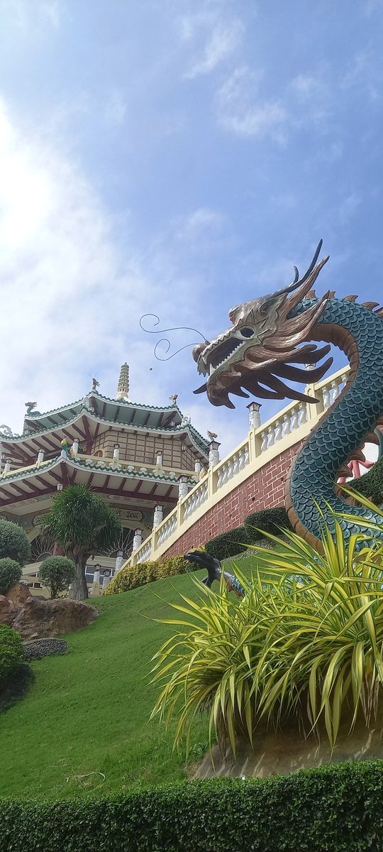 TaoPoetry's tweet image. Cause less harm
Than you do good
The world can be kind
When it&apos;s more understood
#musing