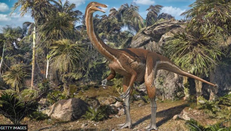 People used to think dinosaurs were reptile versions of rhinoceroses. Find out how our understanding of dinosaurs has changed since they were first discovered bbc.co.uk/newsround/6829…