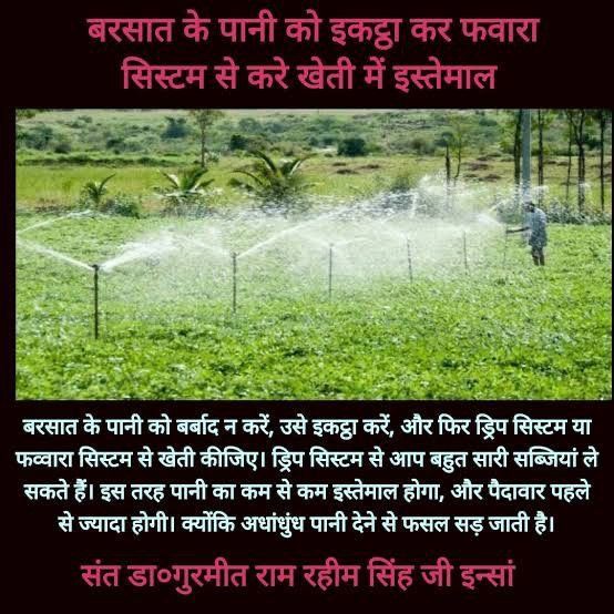 Agriculture plays important role in GDP growth. Saint Dr Gurmeet Ram Rahim Singh Ji Insan always motivates farmers to use shower system for watering crops. Guru ji give many farming tips about how they can increase profit by doing #OrganicFarming 

#FarmingTips #AgricultureTips