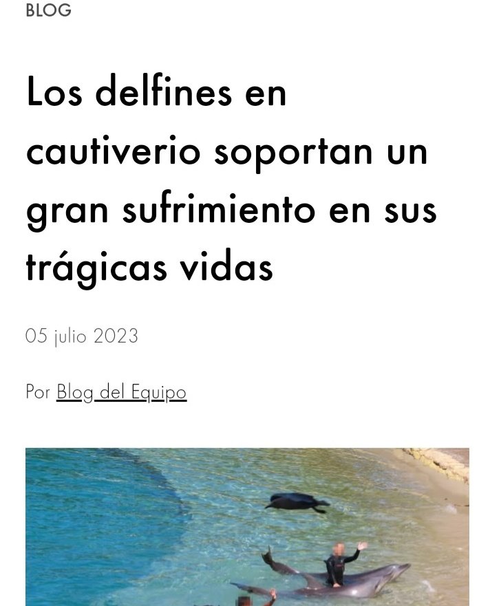 Que triste animales en cautiverio sin poder desplazarse a sus anchas en su habitat #tudia #bienvenidos13 @T13 
#delfines
