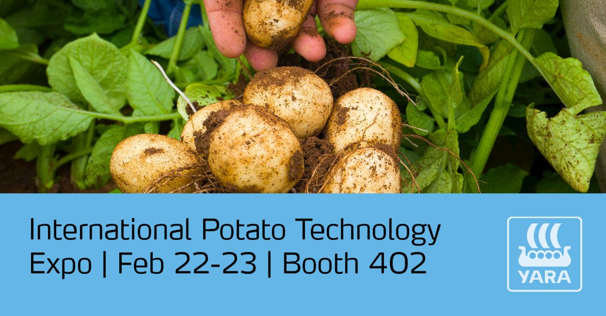 TopPotato Yara Canada tweet media