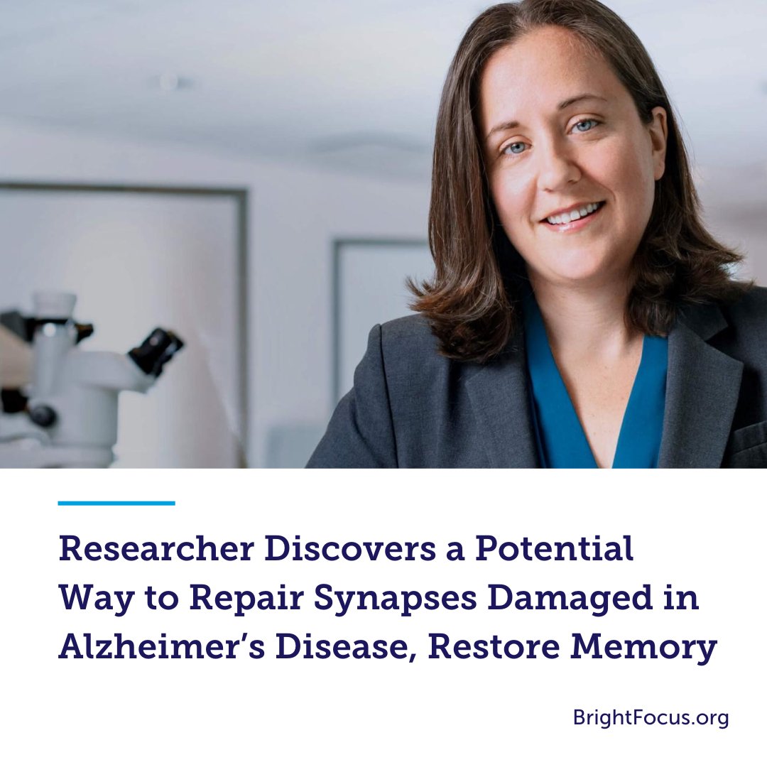 BrightFocus Foundation (@_brightfocus) on Twitter photo BrightFocus Foundation Alzheimer's research grantee Dr. Tara Tracy of the <a href="/BuckInstitute/">Buck Institute</a> discovered a potential way to reverse brain cell damage and improve communication for learning and memory. ✨ #Research #Hope
Read more: bit.ly/3UBWdMb.🔬 BrightFocus Foundation Alzheimer's research grantee Dr. Tara Tracy of the <a href="/BuckInstitute/">Buck Institute</a> discovered a potential way to reverse brain cell damage and improve communication for learning and memory. ✨ #Research #Hope
Read more: bit.ly/3UBWdMb.🔬
