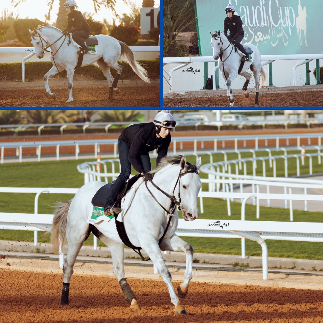 WHITE ABARRIO and Emily Ellingwood @EmEllingwood continuing preparations for the @thesaudicup at King Adbdulaziz Racetrack.