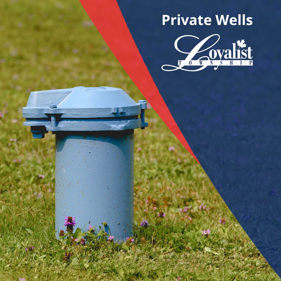 Is your drinking water supplied by a private well?

Visit our Private Wells page for tools and resources to help you ensure your well water supply is safe now and in the future.

loyalist.ca/privatewells