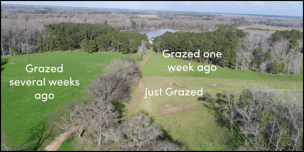 regenranching's tweet photo. Rotational Grazing > Industrial Farming

Without rotating the land, the soil will end up getting destroyed and the land will no longer be useful for raising animals.

At Perrenial Pastures, we use regenerative methods of grazing.

The difference is obvious, you can see it. https://t.co/tUYFLci2rz