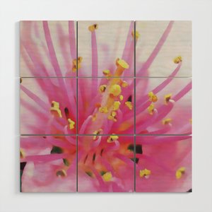 Pink Peach Pollen Macro Abstract #WallTapestry #taiche #Society6 #macro #macroart #nature #macropainting #captures #abstractpainting  #flowers #macroworld #art #blossom #macronature #flower #peachtree #creative #pink #macrolove #macroflowers  #abstractart society6.com/product/pink-p…