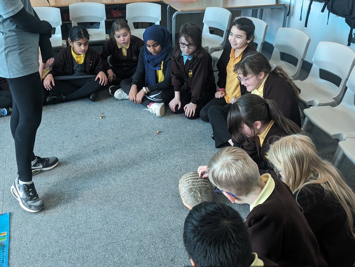 EastfieldPSHull's tweet photo. #5CW enjoyed their visit today from Sam's Safari. We learned lots about animals from South America #epsGeography π’π https://t.co/5yBlkaO6lo