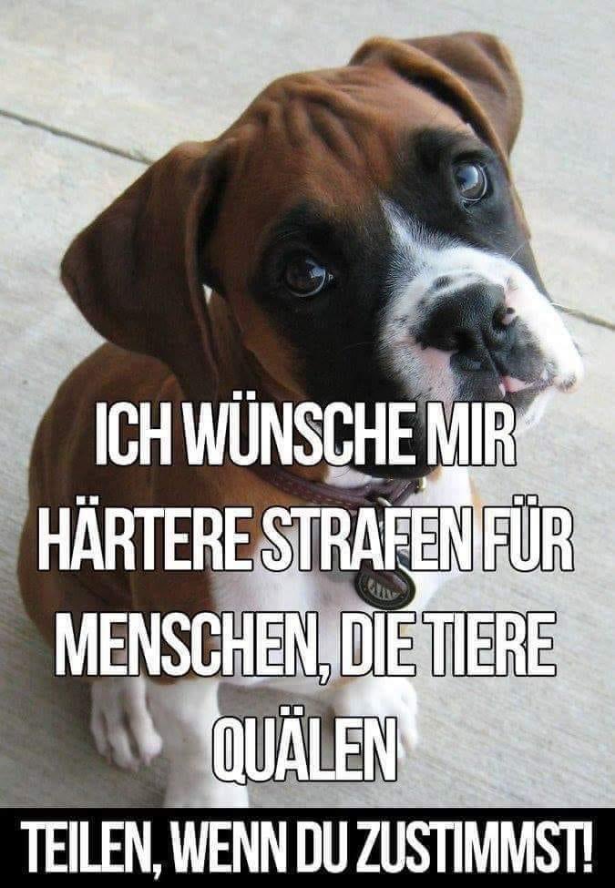 Arthur Krischke (@stehaufmannwien) on Twitter photo 