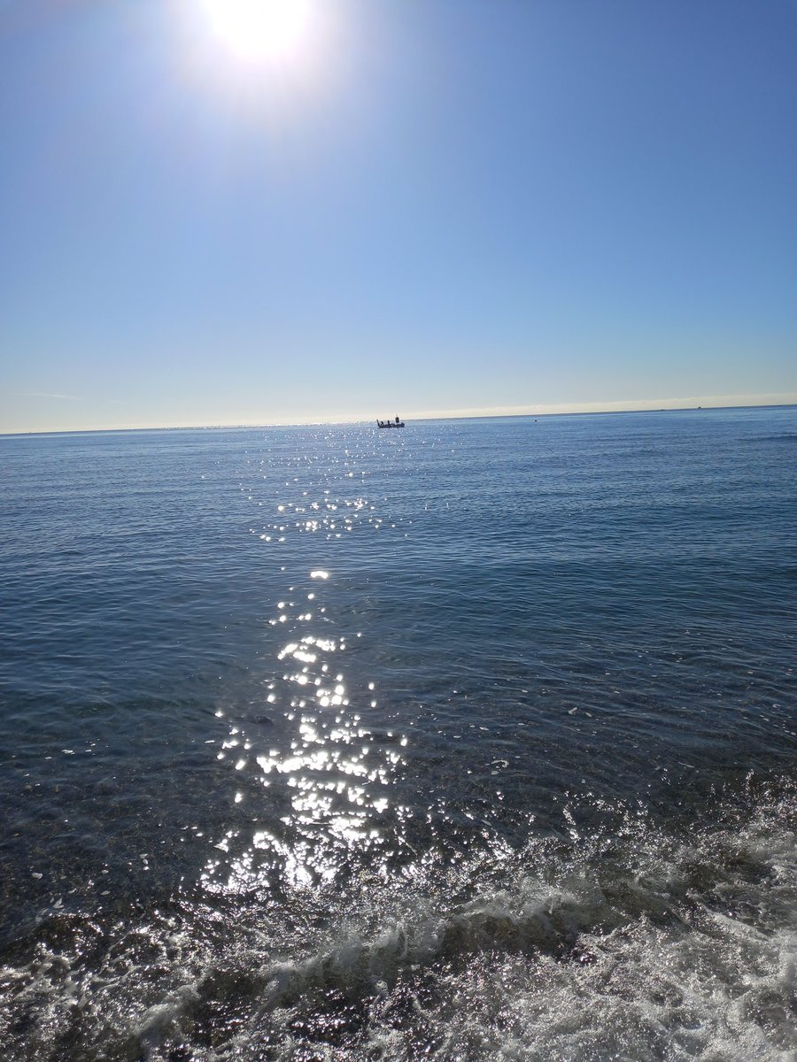 My morning walk on the beach last couple of weeks going to miss it