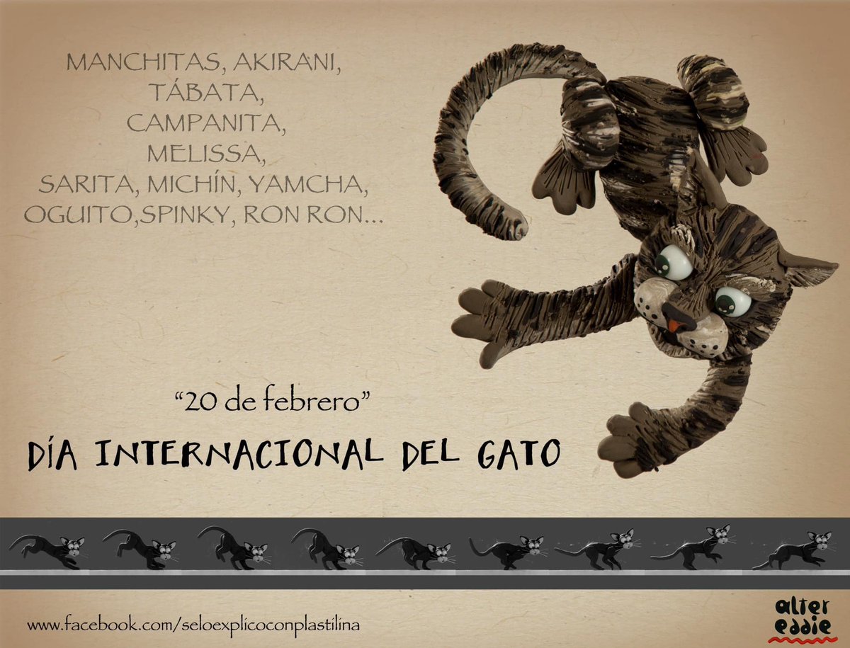 altereddie's tweet photo. ¡Feliz día gatuno! https://t.co/lUeZXzs9sC