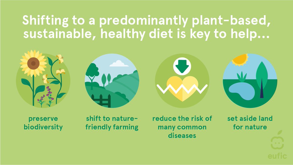 🌱 Our food choices impact more than just our health! By embracing a healthy &amp; #SustainableDiet, we support the health of our planet too.
