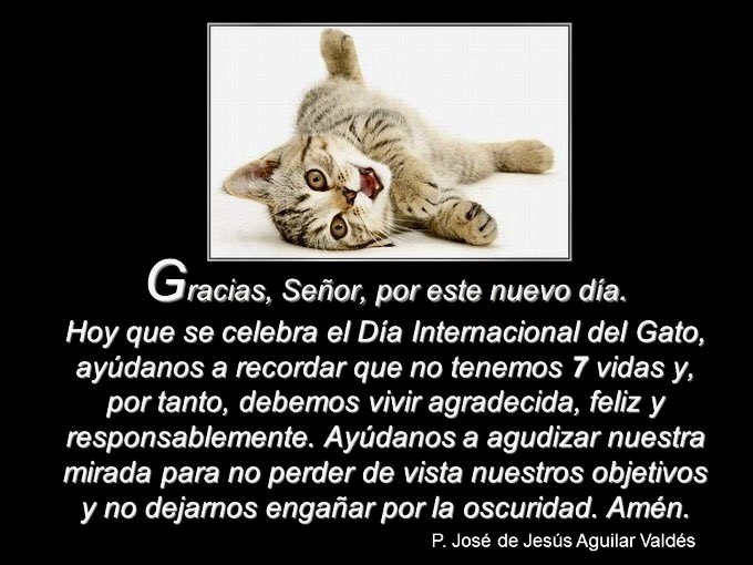 PadreJosedeJes's tweet photo. ¡Buenos días! https://t.co/m61hdtFQUe