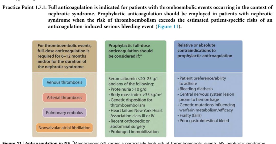 JasmineNephro's tweet photo. ✅Prophylactic anticoagulation in nephrotic syndrome

🅰️Hypoalbuminemia (<2) with one of following

🎯Proteinuria >10gm/day
🎯BMI> 35
 🎯Heart 💔 failure
🎯Genetic predisposed for thrombosis
🎯/Recent abdominal surgery 

@goKDIGO @ISNkidneycare https://t.co/AdaI4z0R4R