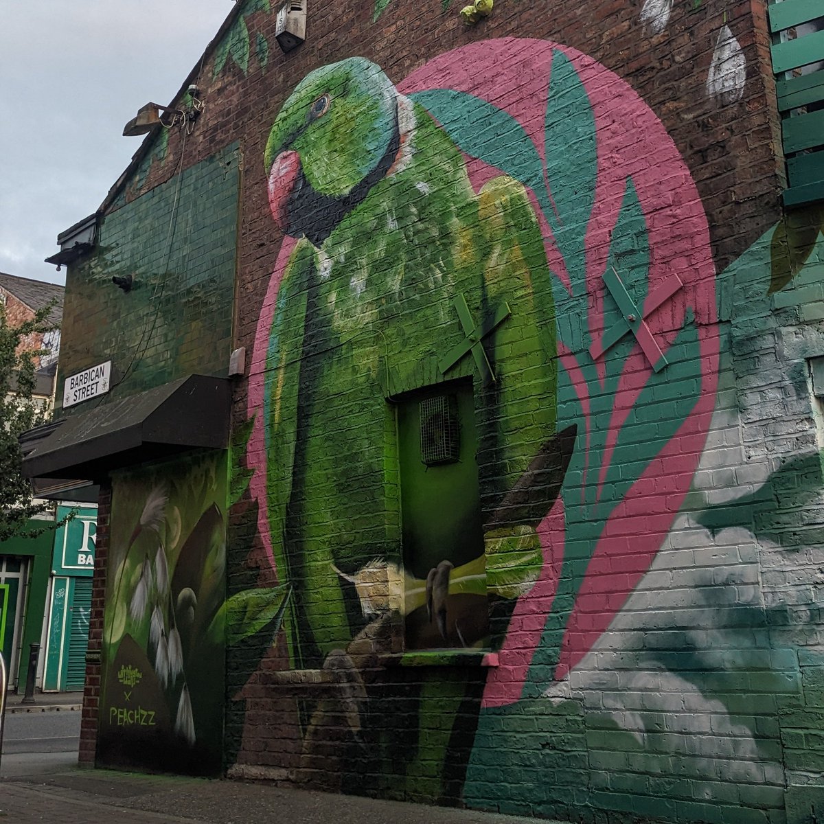 Tune into BBC The One Show tonight at 7pm for a little cameo of Withington and our parakeets mural