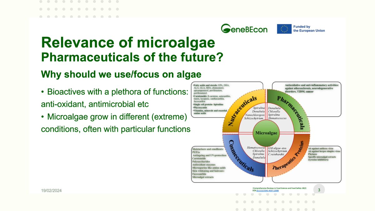 GeneBEcon's tweet image. 🚀GeneBEcon is boosting mycosporine-like amino acids (MAAs) production in Chlorella - a microalgae specie🟢.
🧑🔬With promising applications in pharmaceuticals and industry, Chlorella's "novel food" status opens doors to expanded food and feed possibilities!
#microalgae
@ILVO