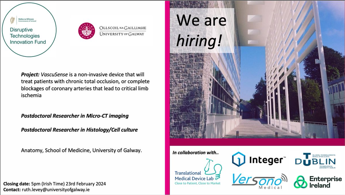 We're hiring! 2 x Postdoc positions on our DTIF funded VascuSense project @uniofgalway. nature.com/naturecareers/… nature.com/naturecareers/… Applications are open until 23rd Feb, and informal enquiries are welcome. Join our great group! Retweets welcom. @GalwayCMNHS @gduffy00