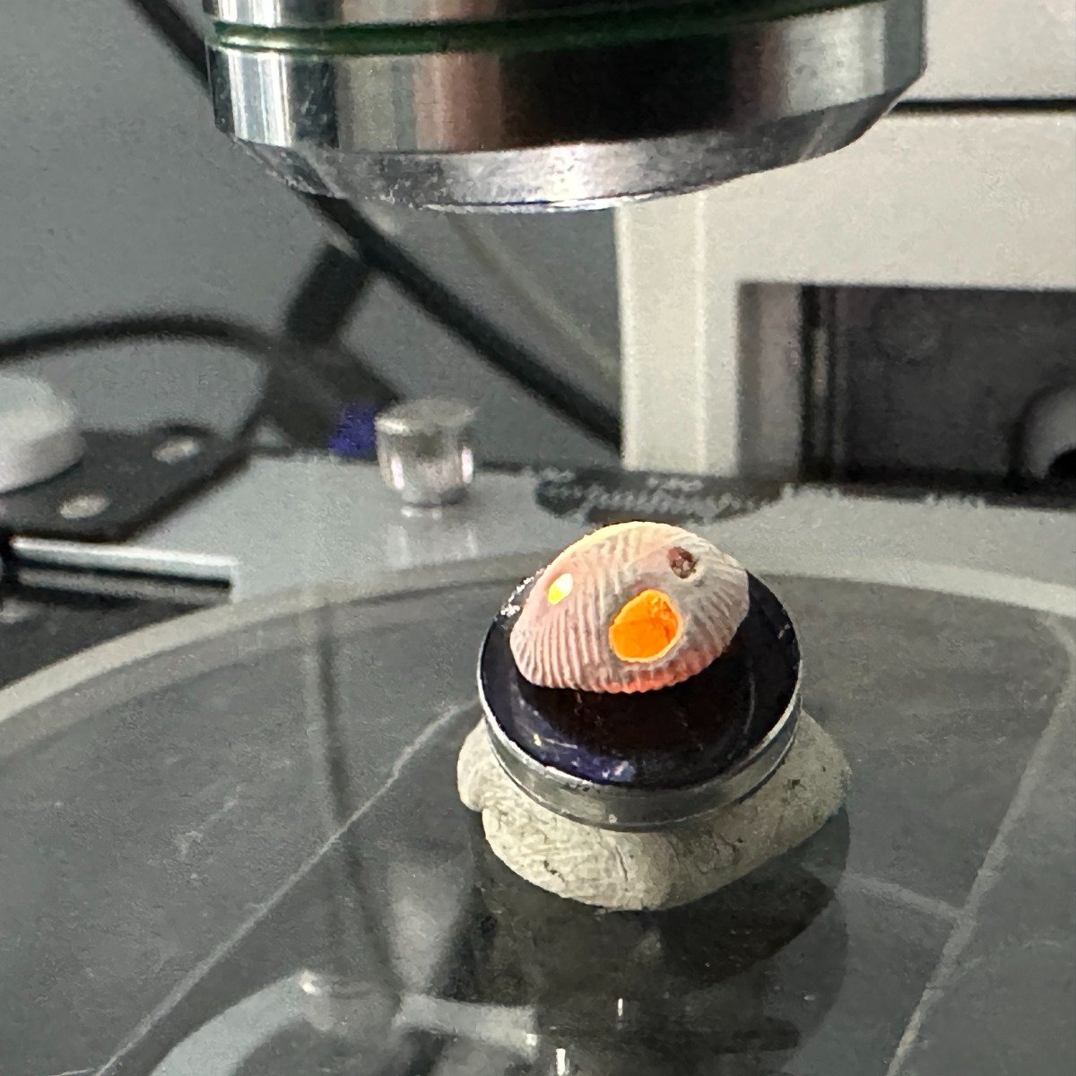 Eduardo Molina Piernas tweet media