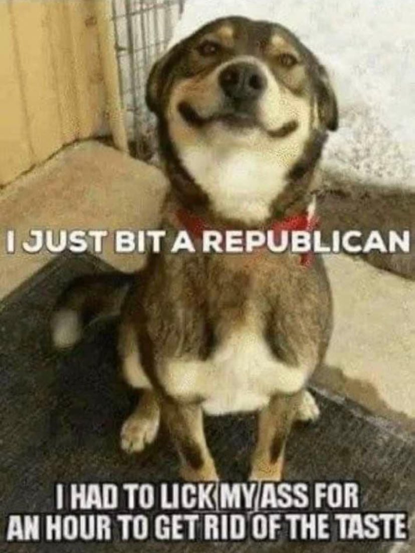 AnnieForTruth's tweet image. 😂