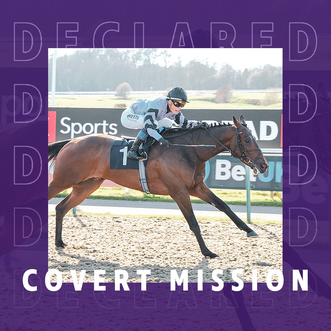 ownersgroupuk's tweet photo. Covert Mission is at Kempton tonight to run in the 6.00 handicap under jockey Daniel Muscutt and for trainer Kevin Philippart de Foy. Good luck to all his owners! 🐴🤞#OwnersGroup #CovertMission https://t.co/oE2M5l8o9v