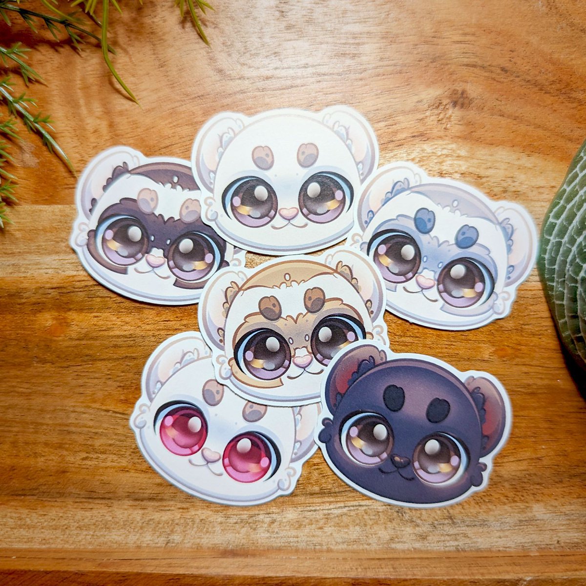 WnCDesigns's tweet photo. ✨NEW✨ Ferret stickers!
°✧・。
#ferretStickers #ferretArt #ecostickers https://t.co/L53bdjYV2t