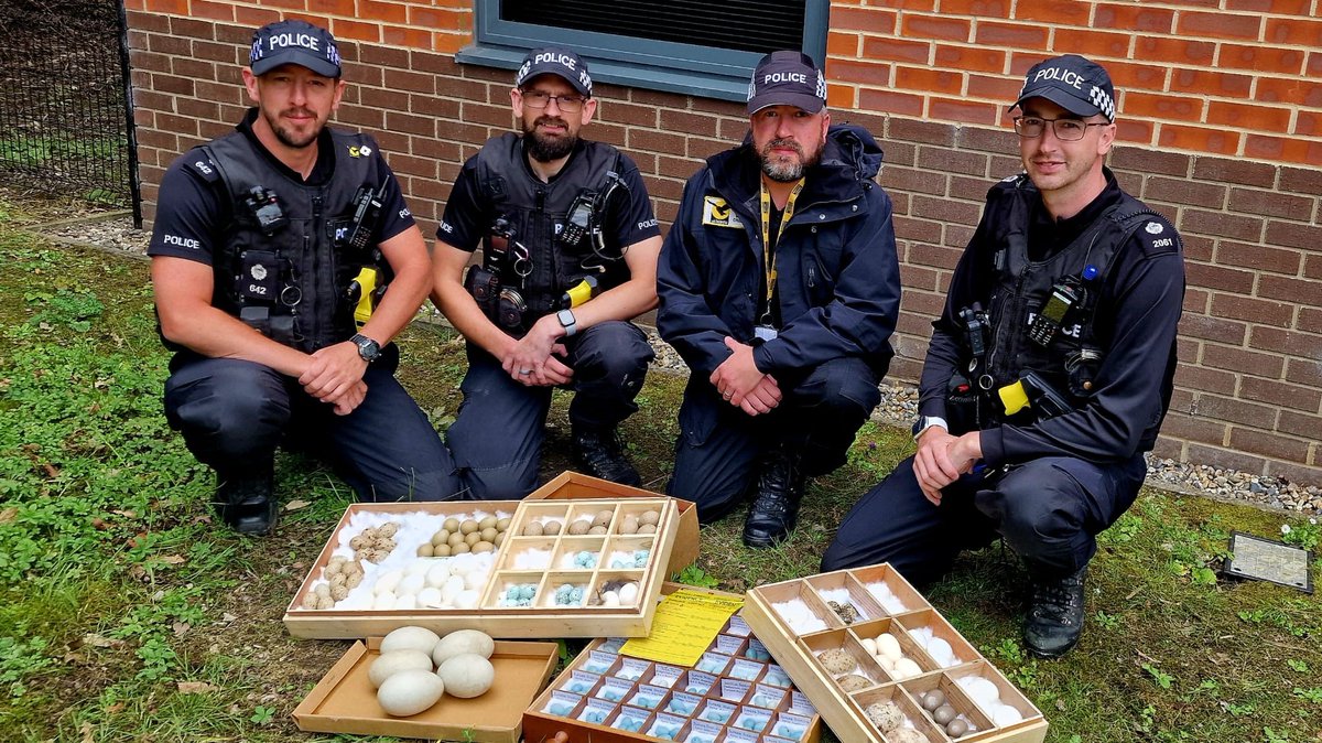 A man found with a collection of almost 3,000 wild birds' eggs has admitted a range of charges in court today and will be sentenced on 3 May 2024. orlo.uk/4lwQ5