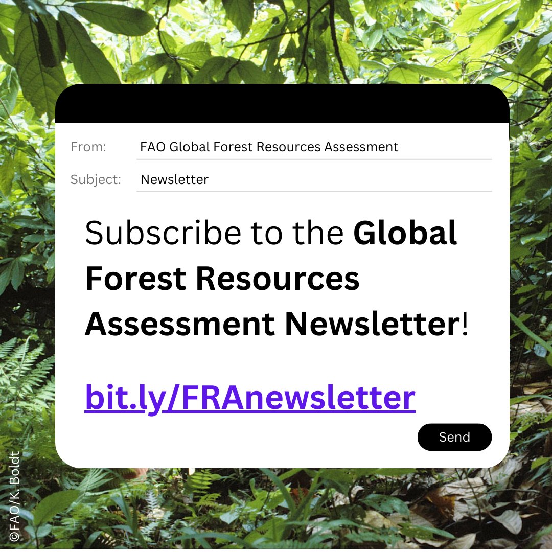 🌍🌲 @FAO’s Global Forest Resources Assessment (FRA) offers key publications, tools, e-learnings and events to keep the public informed on forests and sustainable forest management. 📣 Subscribe to the FRA newsletter stay informed on what's new! ✍️ bit.ly/FRAnewsletter