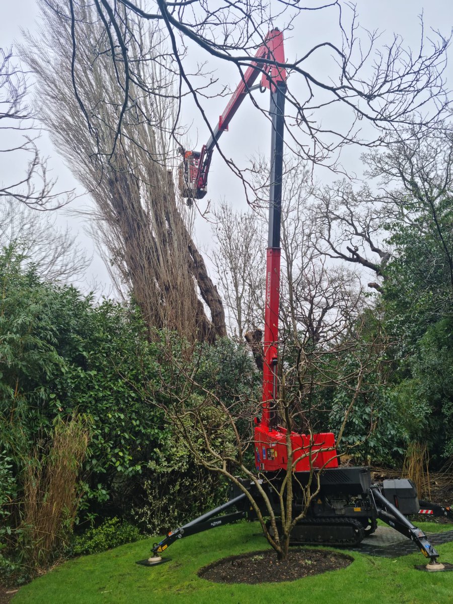 DFordTreeCare's tweet photo. The dismantling of two Poplars in #Esher, one of which had fallen into the other in recent storms. The manual elevating work platform making life much easier to deal with!
https://t.co/gTAT7KMk6x
#Arborists #Arborist #Poplar #PoplarTree https://t.co/YazD1Jfrb4