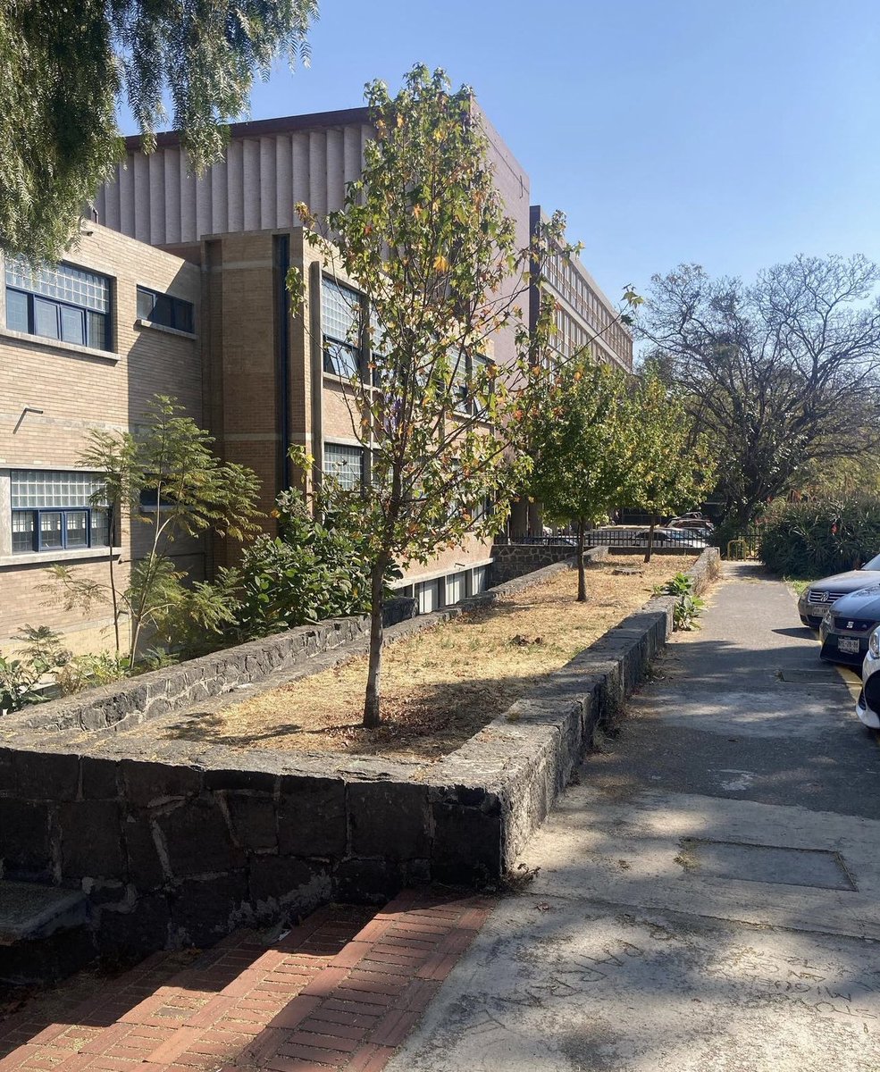 hectorvelazhv's tweet image. De regreso a la Facultad de Arquitectura de la UNAM un lugar increíble !