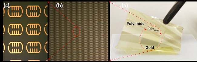 UofG News (@uofgnews) on Twitter photo Researchers from <a href="/UofGEngineering/">UofG Engineering</a> and <a href="/QMUL/">Queen Mary University of London</a> have developed a revolutionary biosensor that can detect skin cancer with exceptional sensitivity using terahertz waves.
Their breakthrough could pave the way for earlier, easier diagnoses.
Read more here: gla.ac.uk/news/headline_… Researchers from <a href="/UofGEngineering/">UofG Engineering</a> and <a href="/QMUL/">Queen Mary University of London</a> have developed a revolutionary biosensor that can detect skin cancer with exceptional sensitivity using terahertz waves.
Their breakthrough could pave the way for earlier, easier diagnoses.
Read more here: gla.ac.uk/news/headline_…