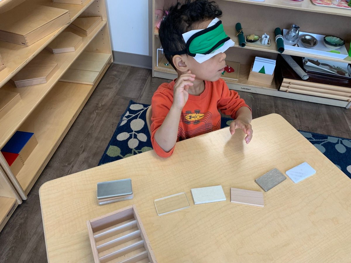 How do you help a child learn to think precisely? To not settle for just-so stories or a fuzzy understanding? To care more about the truth than winning an argument? Start at 3yo, as we do in Montessori, with activities that require the child to *perceive* the world clearly.