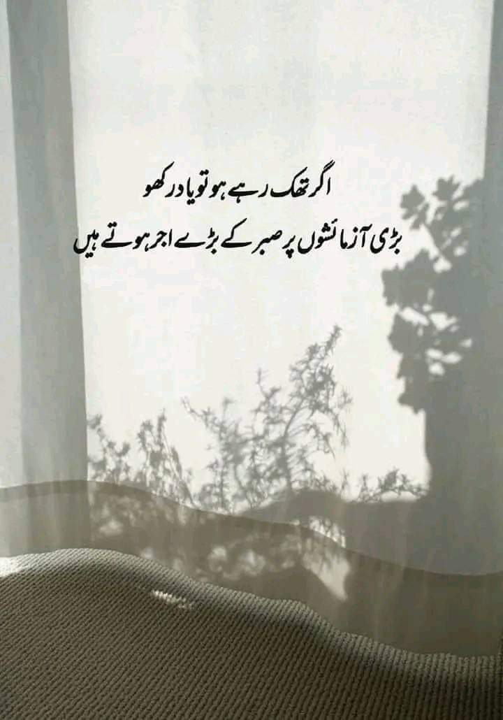 Aslam.o.alaikum❤️