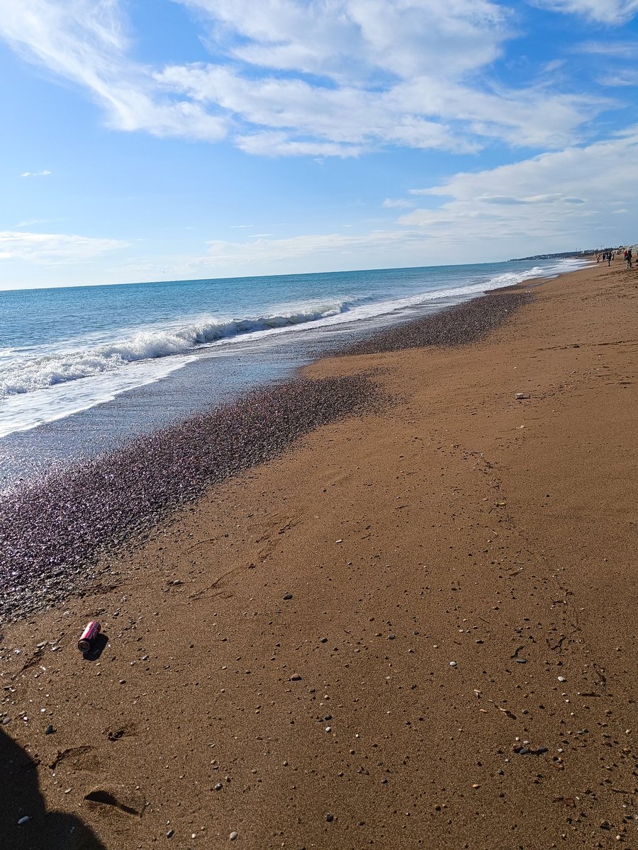kar fikri uzaklara götüren, insanı kendine getiren denizdi..