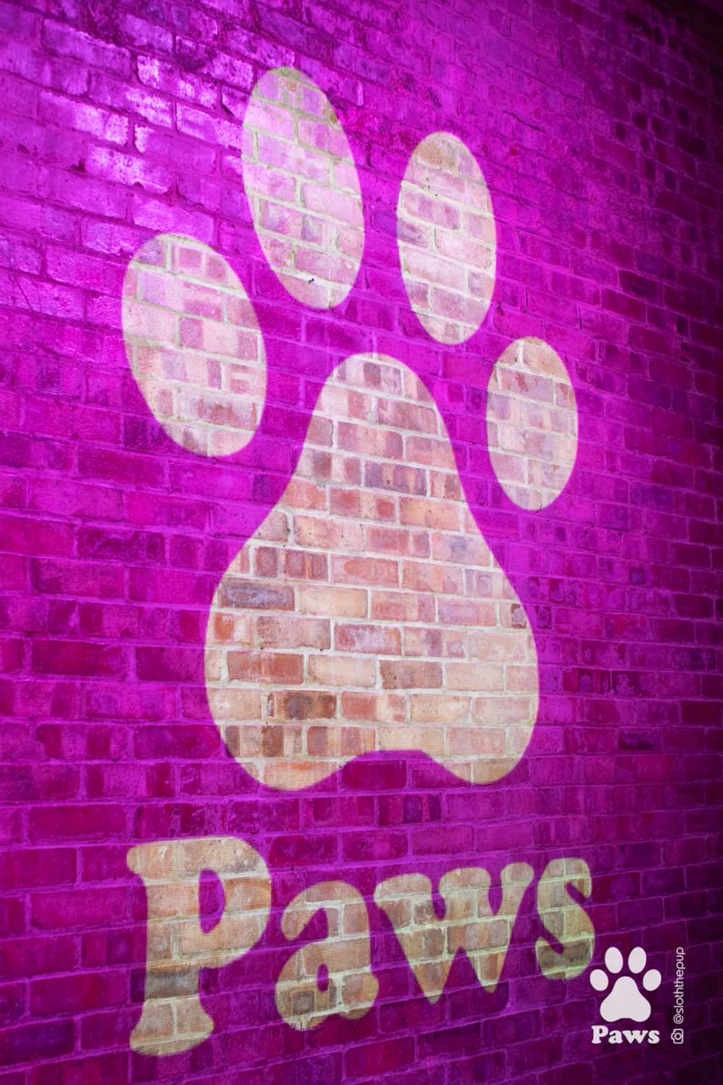 PawsEvent's tweet photo. Paws in pink makes everyone wink!!

Thank you everyone for coming to paws this February we had an awesome day!!

Thank you again @sloththepup for taking the photos as always they are awesome!! https://t.co/g6l57P6JXt