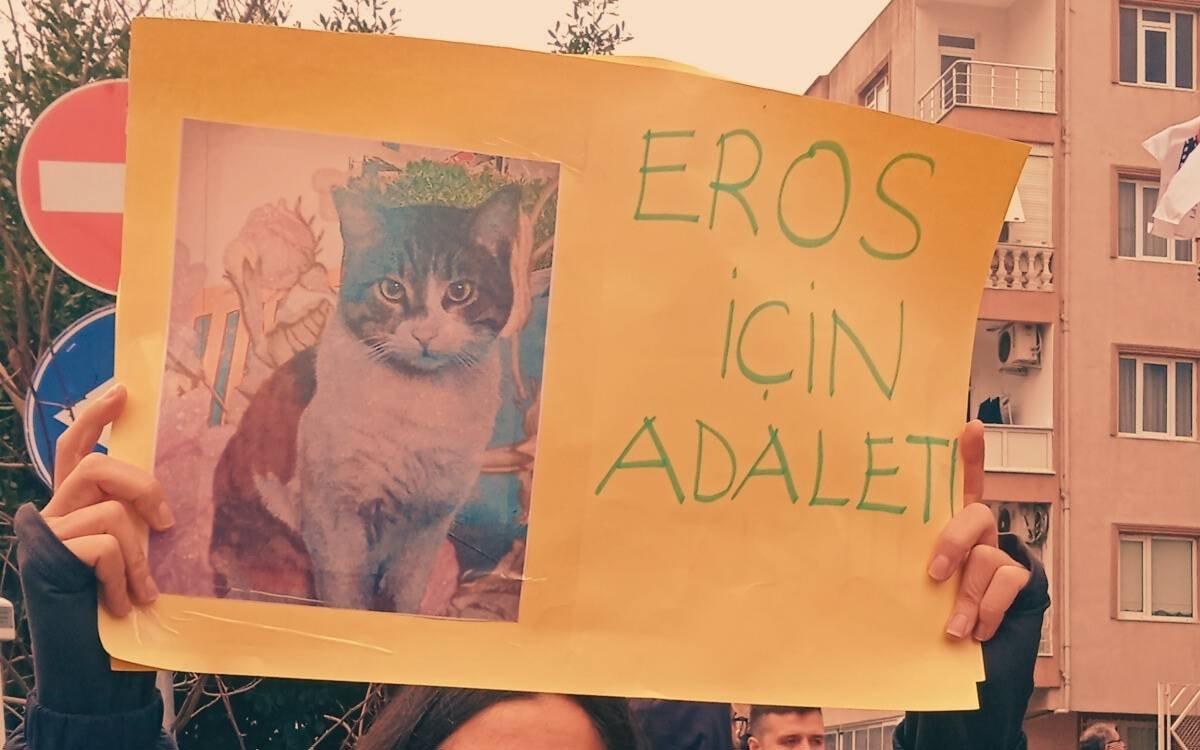 Güzel haber! Eros'u katleden İbrahim Keloğlan yeniden yargılanacak. 

#ibrahimkeloğlantutuklansın