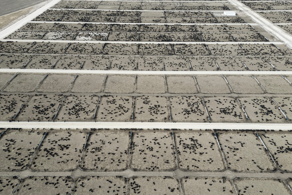 verhalen.trouw.nl/massavoedsel-u…