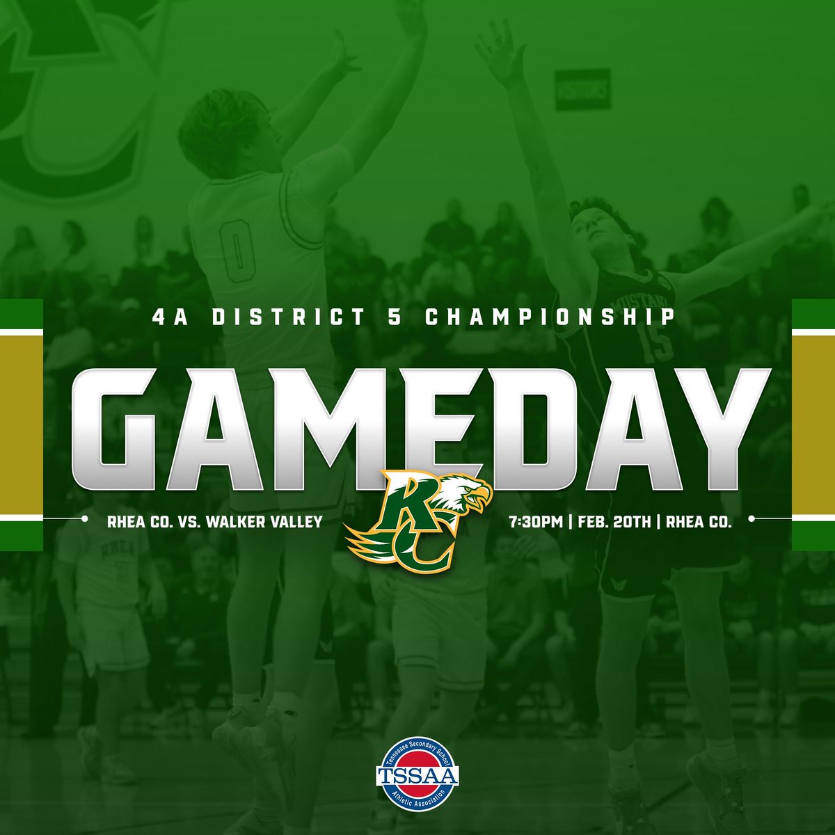 Rhea County Basketball tweet media