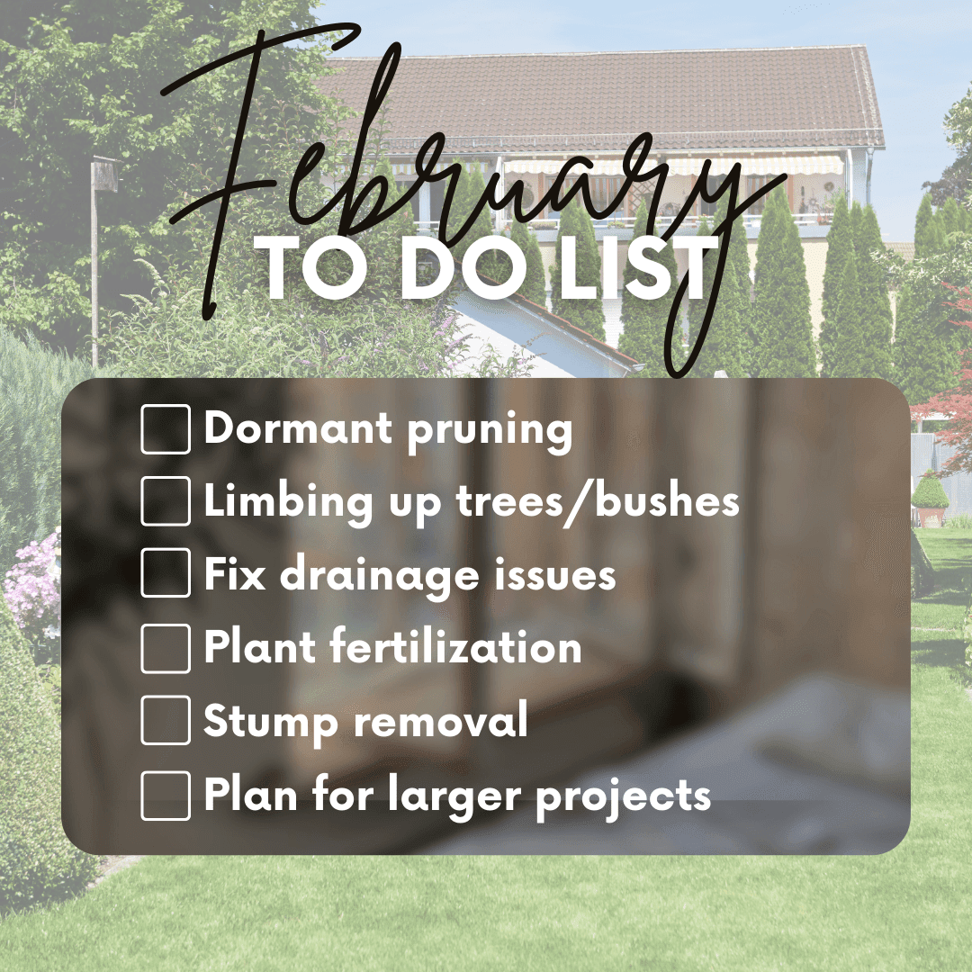 It's time to get your outdoor space in shape for the coming spring! If you want to take your backyard from shabby to chic, call Hibbs Lawn and Landscaping to get started. 

📞 (314) 813-0030

#februarygardening #landscapingtasks #landscapeplanning #lawncare #lawnservice