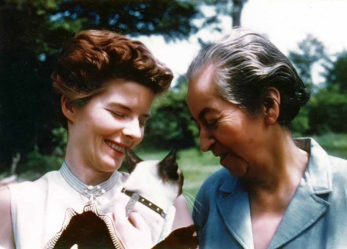 camus_beto's tweet image. Hoy es el día internacional del gato, Gabriela Mistral y Julio Cortázar  dos grandes personajes amantes de los gatos #DiaInternacionalDelGato