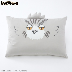 しまむら『ハイキュー!!』2024年の夏が2月21日より！猫の日の特集での