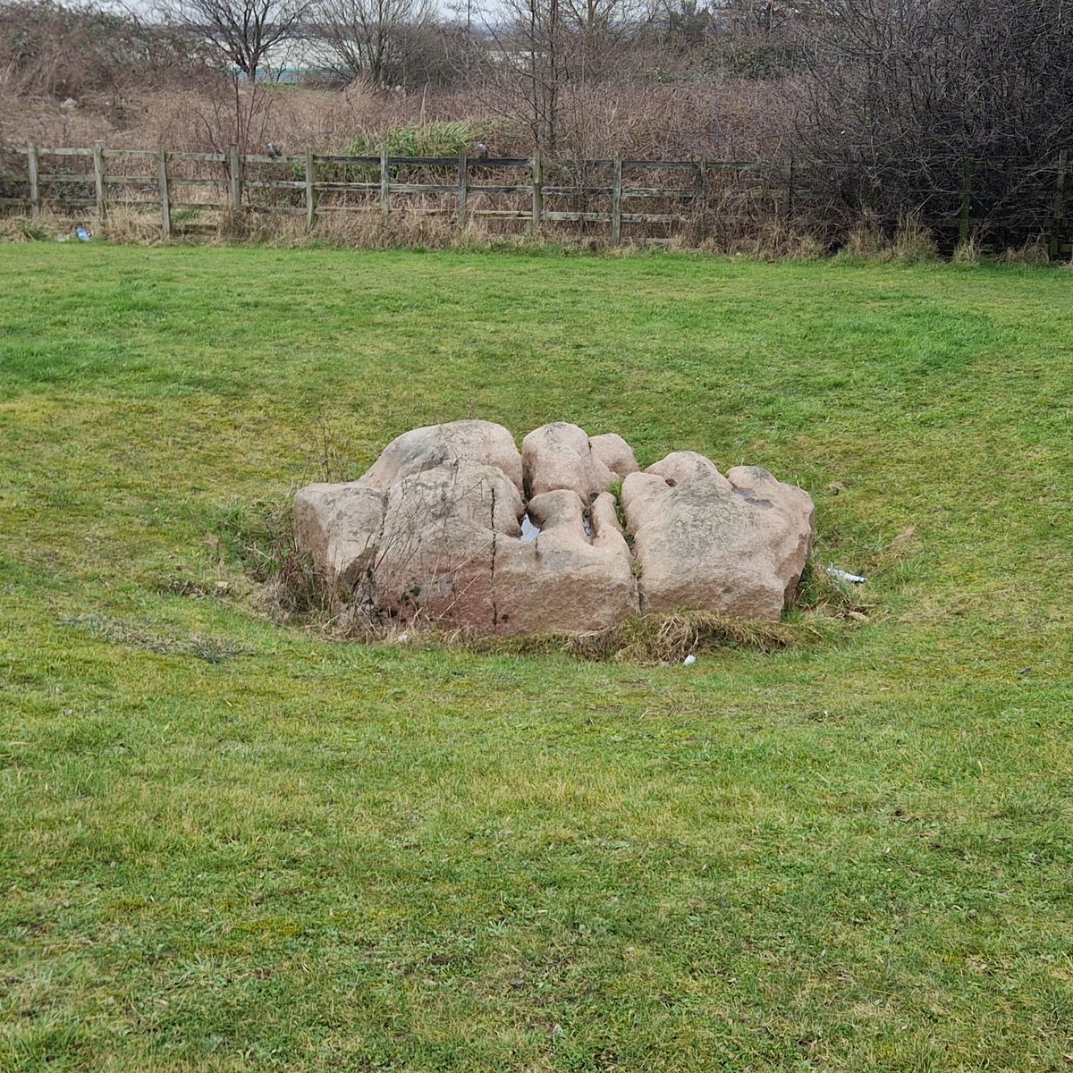 ⁉️ The Humber Stone may be in north Leicester, but it's actually a piece of Charnwood Forest...

♦️ Weighing around 20 tonnes, the boulder is made of granodiorite from Mountsorrel.

❄️ It was transported more than 5 miles to it's current location by a glacier 440,000 years ago!