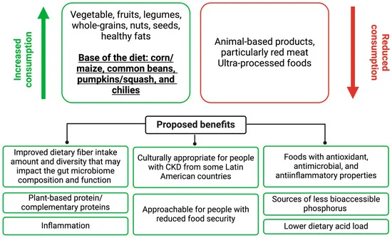So happy to share our latest review proposing the "Dieta de la Milpa" as a culturally appropriate dietary pattern for Hispanic/Latine people with chronic kidney disease! 🔓mdpi.com/2072-6643/16/5… cc: <a href="/Gabrielaleales/">Gabriela</a> <a href="/espinosaangeles/">Espinosa con S y CUBREBOCAS 🇲🇽🍒🐝🥂</a>