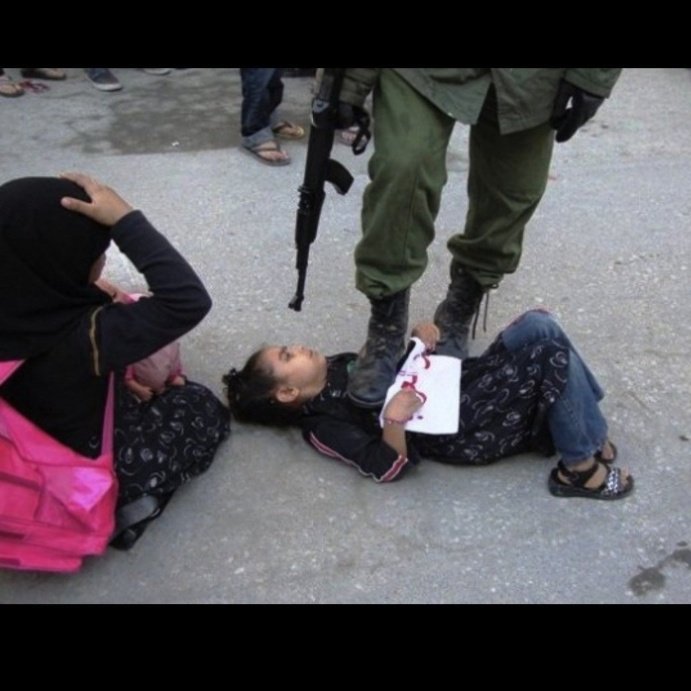 Kelly78842659's tweet image. Então você concorda com isso?
Combater o terrorismo é uma coisa, agora matar, torturar e exterminar crianças, mulheres e pessoas inocentes é imperdoável.
Lula foi certeiro e só assim o mundo vai se mexer pra acabar com esse genocídio 

#LulaTemRazão 
#netanyahuassassin