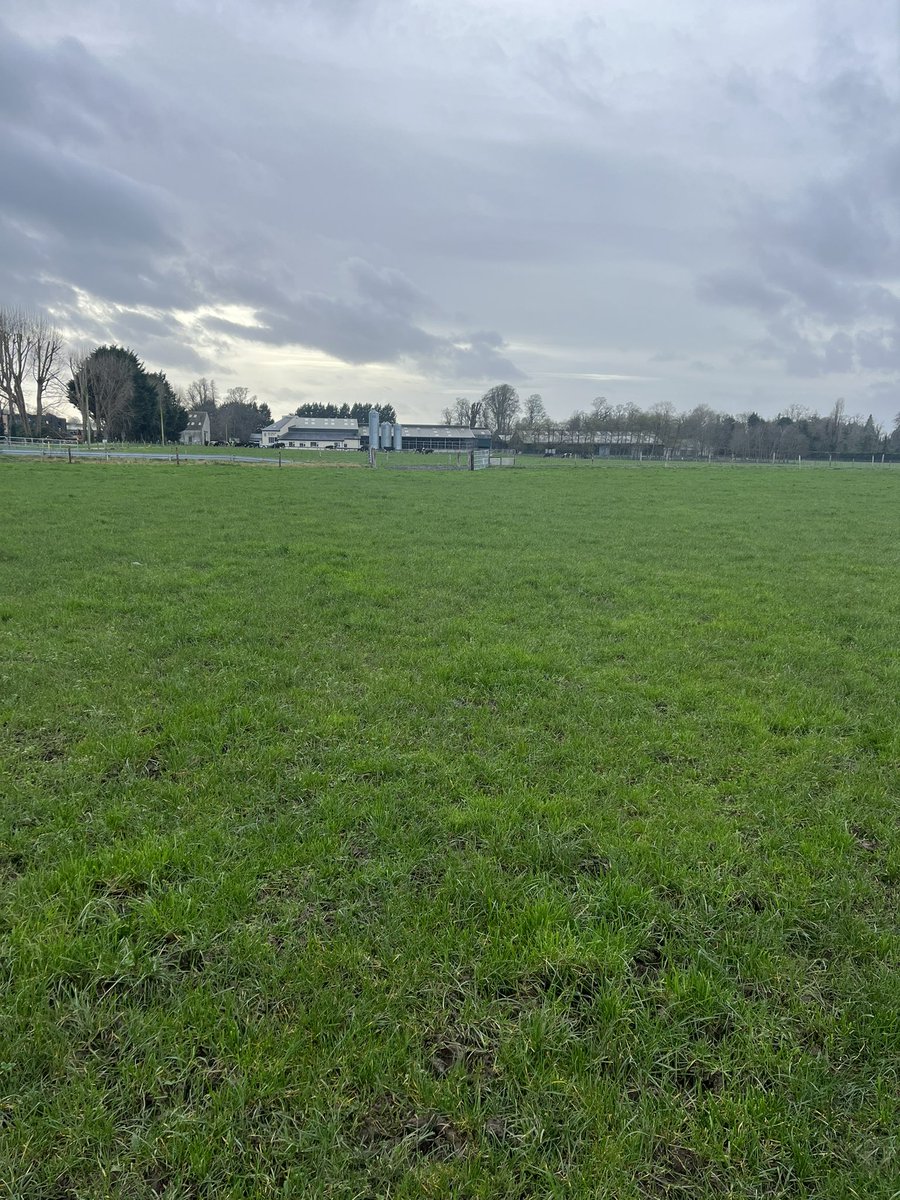 UCD Systems Herd tweet media