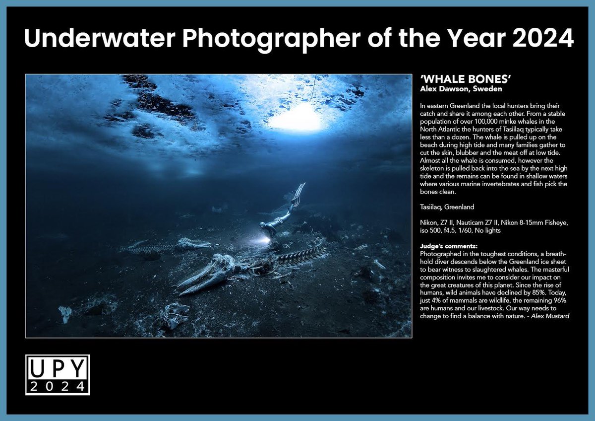 LIGHT.ART tweet media