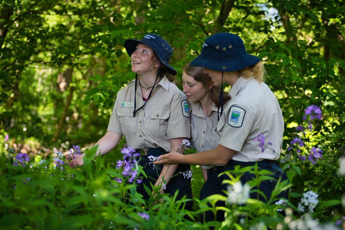 Rushing River PP tweet media