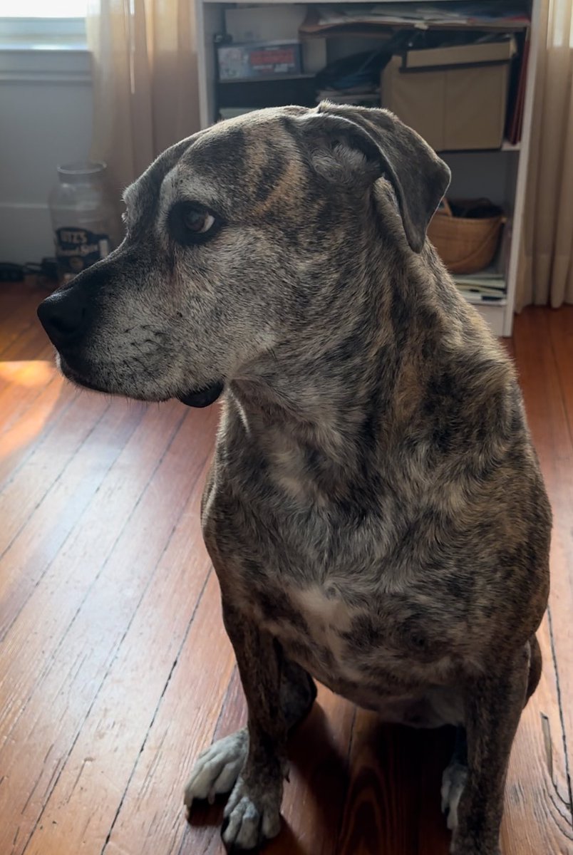 Stacey Livote tweet media