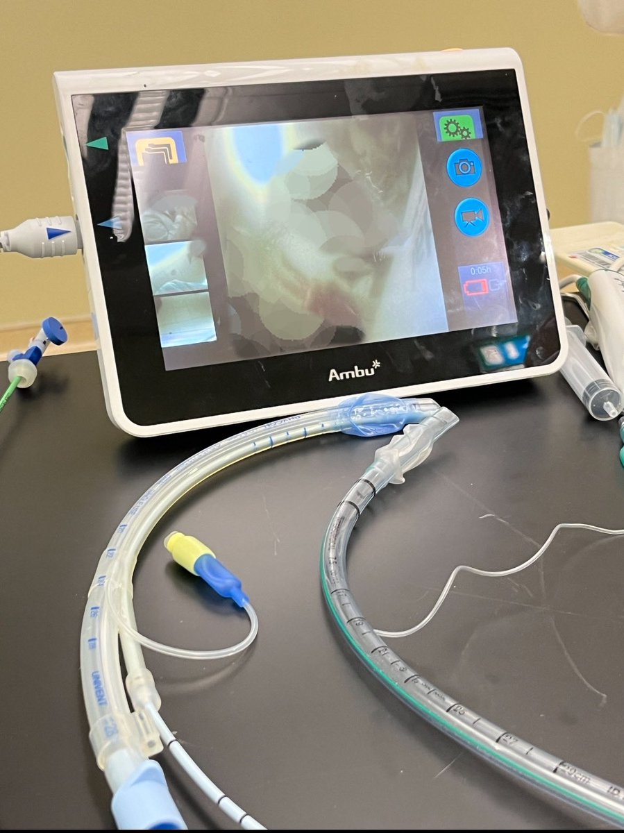 ريناد tweet media