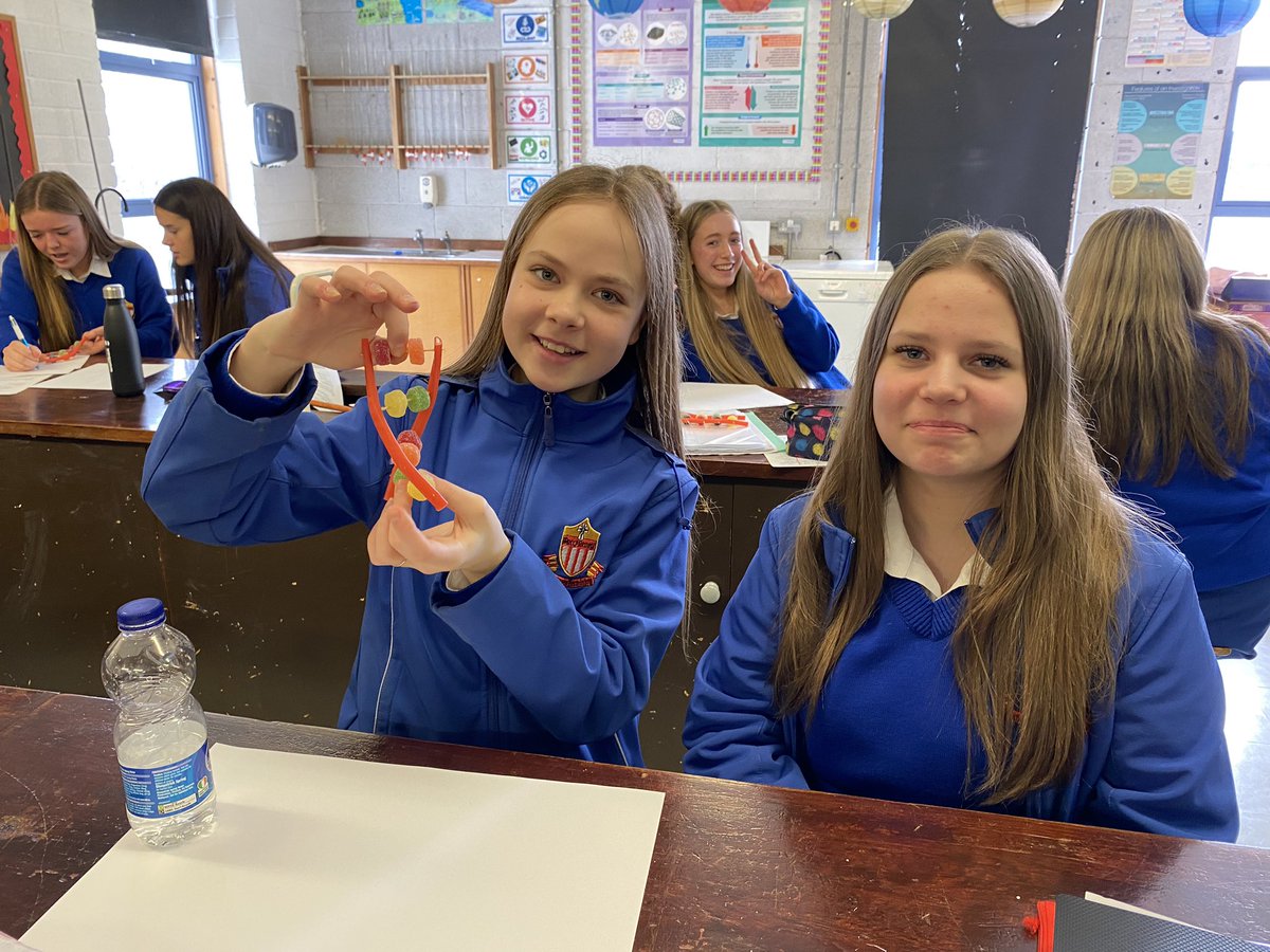StMarysNenagh's tweet image. Today, our second years embarked on a sweet scientific adventure! 🍬🧬 We dove into the world of genetics and created DNA models using nothing but delicious sweets. 🍭💫#SweetScience #DNAmodels #HandsOnLearning 🍬🧬